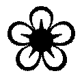 star of betlehem