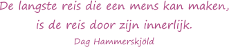 De langste reis die een mens kan maken, is de reis door zijn innerlijk. - Dag Hammerskjöld